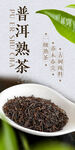 普洱熟茶海報