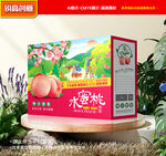 水蜜桃包裝 桃子禮盒