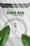 小暑節(jié)氣傳統(tǒng)活動海報(bào)