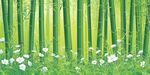 翠綠竹林間的爛漫白花