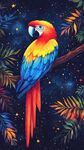 星空下的多彩鸚鵡