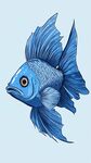 藍色飄逸鰭金魚插畫