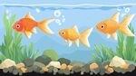 三條金魚暢游在水底世界