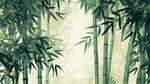 翠綠竹林間 清幽自然景