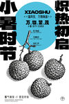 夏日小暑荔枝時節(jié)插畫