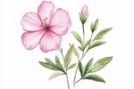 粉色花卉插畫 清新自然風