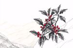 水墨冬青枝 紅果映山川