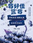 藍莓海報