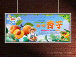 杏子展板