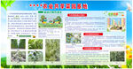 農(nóng)業(yè)農(nóng)場共享菜園基地展板