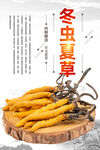 冬蟲(chóng)夏草