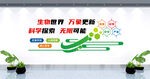 生物文化墻