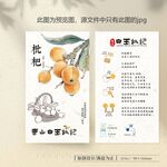 枇杷簡介卡片