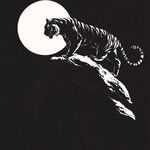 月夜猛虎踞巖