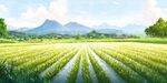 田園稻田風(fēng)光如畫