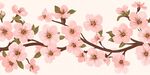 粉色櫻花枝條插畫背景圖