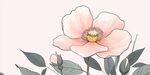 粉色花卉插畫(huà) 清新唯美
