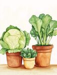 盆栽蔬菜 清新田園風插畫