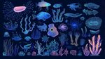 夢幻海底生物插畫