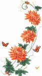 橙色菊花與蝴蝶裝飾圖案