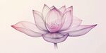 夢(mèng)幻紫色手繪風(fēng)蓮花圖案