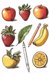 手繪水果與文具插畫