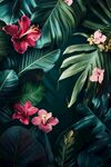 熱帶花卉與綠葉的夢(mèng)幻組合