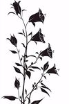 黑色花卉植物輪廓圖案