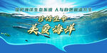 關(guān)愛(ài)海洋