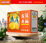 黃桃包裝 蜜桃禮盒
