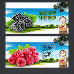桑葚
