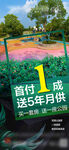 首付1成 輕松購月供房