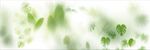 霧氣磨砂膜效果綠植貼圖