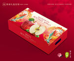 蘋(píng)果包裝 紅富士禮盒