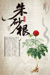 朱砂根