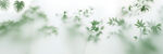霧氣磨砂膜效果綠植貼圖