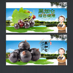 黑加侖
