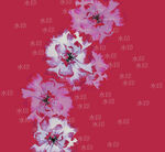 玫紅色底花卉圖案設(shè)計(jì)