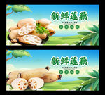 蓮藕