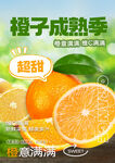 水果橙子海報