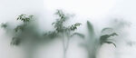 霧氣磨砂膜效果綠植貼圖