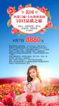 美國(guó)旅游花海中的夢(mèng)幻兒童
