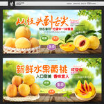 黃桃 桃子 油桃