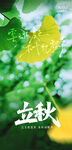 立秋時節(jié)綠意盎然景象