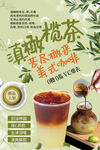 滇橄欖茶海報
