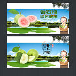 番石榴