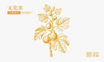 金色無(wú)花果插畫