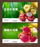 火龍果海報