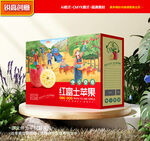 蘋(píng)果包裝 水果禮盒