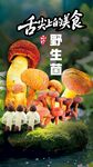 野生菌廣告